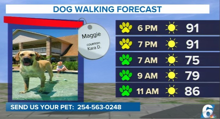 Still a chance for severe storms with the hail threat. Going to want to walk the dog early tomorrow as temperatures heat up swiftly!
