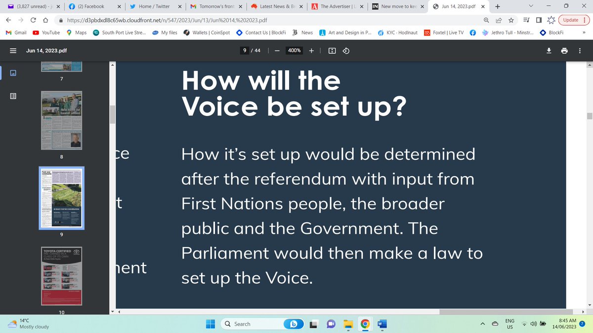 Apparently we are supposed to believe that 
'the broader public' 
will have some input into 
'How the Voice will be set up?'
Even though 97% of us, based on racial exclusion, 
have not had a jot of input so far.