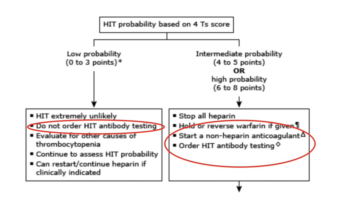 Emily Fridenmaker tweet media
