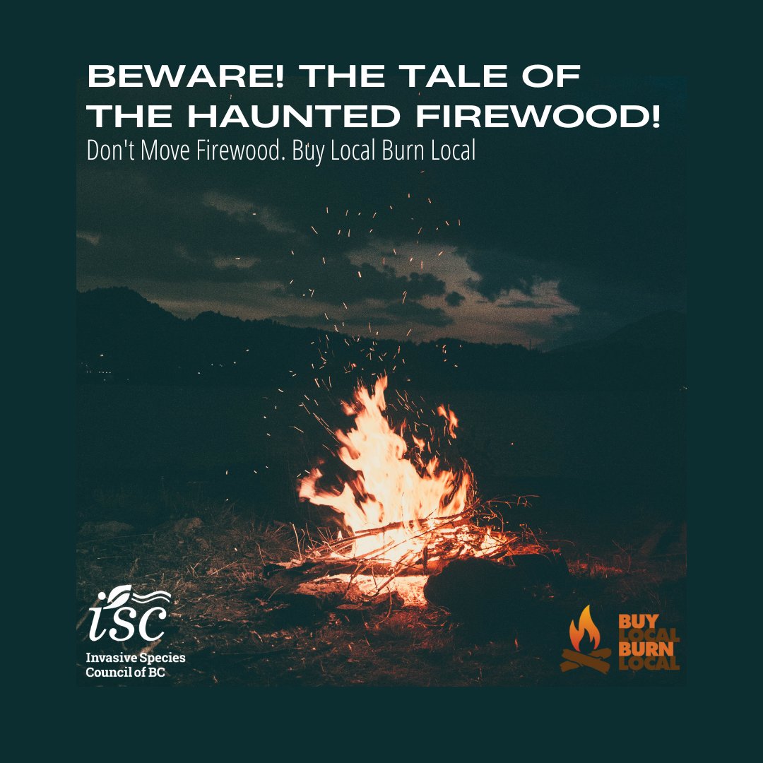 ISCBC's tweet image. Moving firewood spreads invasive species and diseases, harming our environment and economy. The Tale of the Haunted Firewood warns us of the dangers that lurk within logs. Visit our Facebook page to hear the tale! facebook.com/BCInvasives

#BuyLocalBurnLocal #InvasiveSpecies