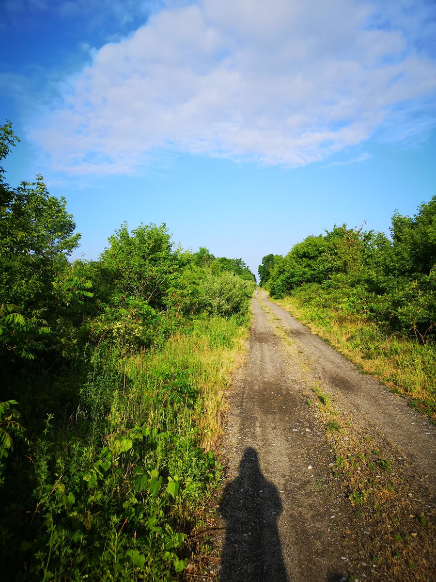 WorkCabinMedia's tweet photo. Creative minds thrive when the only sounds are lone footsteps and birds at 7 am https://t.co/Q2tiKQUOjX