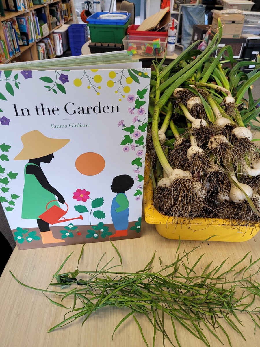 RILibrary&OutdoorLearning tweet media