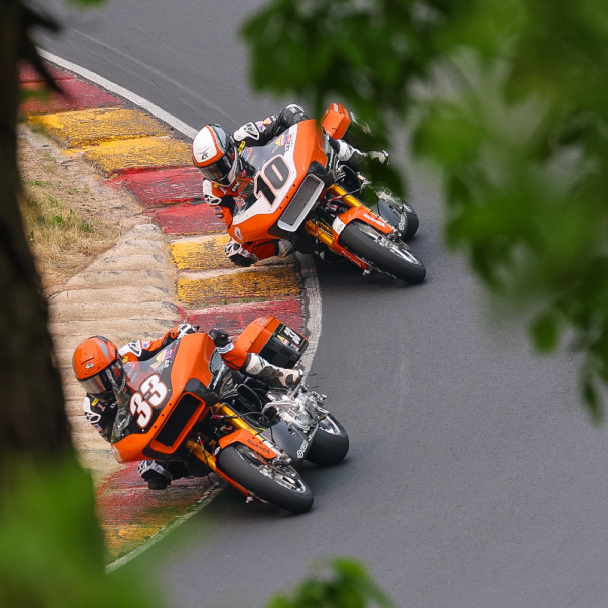 Brian J Nelson finding the angle through the trees of the brothers Wyman 🙌🏼 @harleydavidson