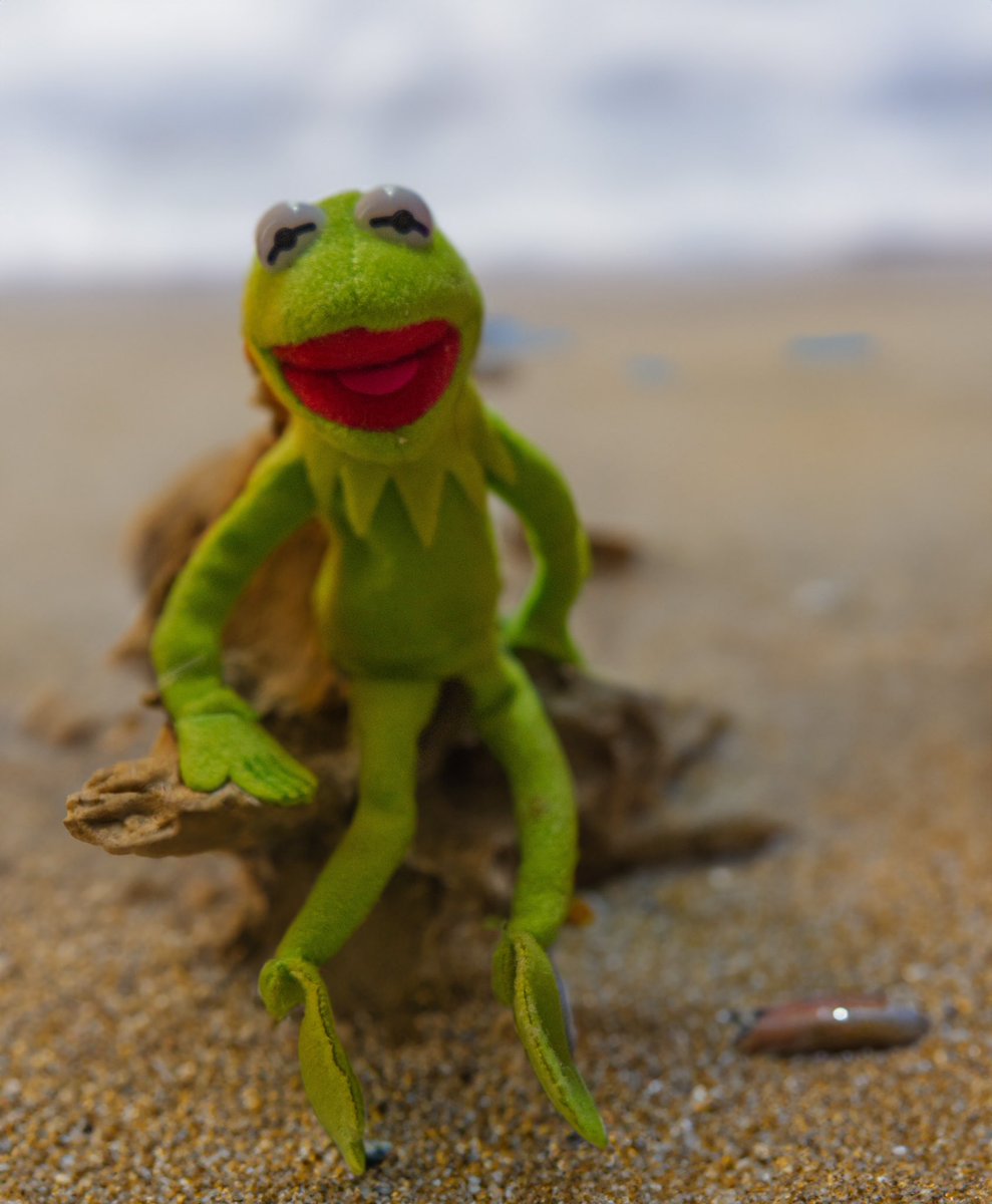 Kermit, the frog wants to go to the beach, right? #canon #r5 #24to105 #photoshop #beta #GenerativeAI #generativefill