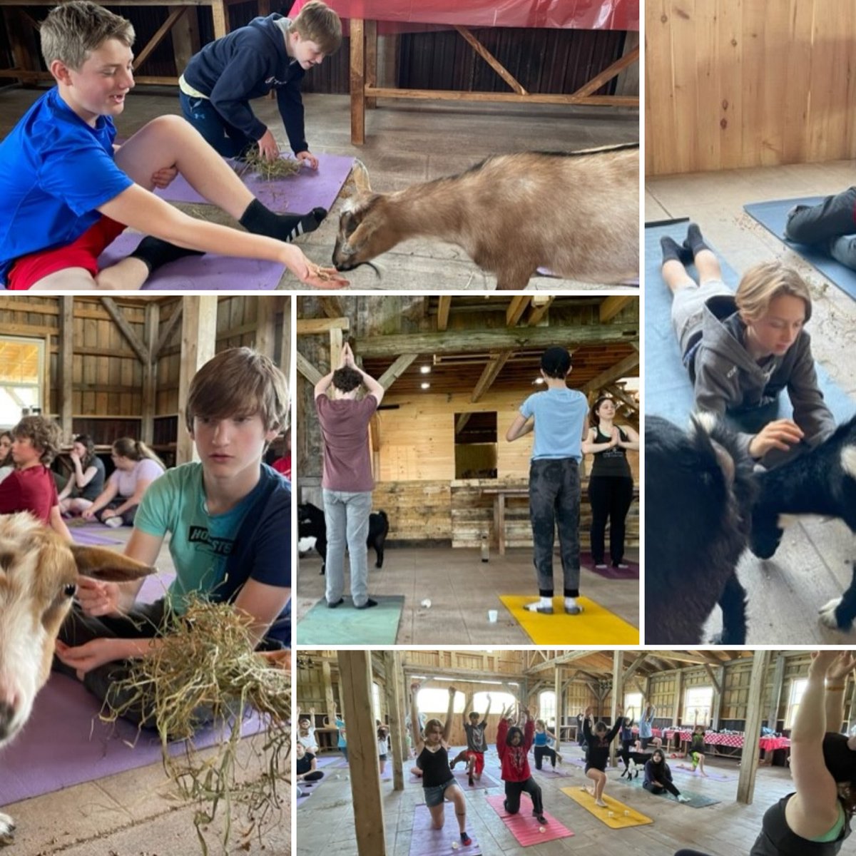 Some of our students had the opportunity to participate in Goat Yoga. They loved the experience. What a great day! So many smiles❤️