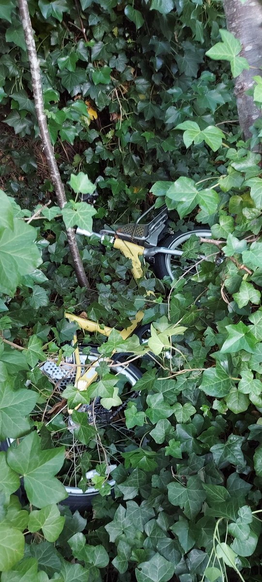 DilipDas's tweet photo. Hello @BerylBikes I found one of your bikes dumped in the bushes beside the Bridgewater Canal. It was VERY well hidden in a difficult to reach location.
I've cycled it to Trafford Centre where it is now waiting for you to collect in a MUCH more convenient location @TFGMBeeNetwork https://t.co/BUNSEE1Gsu