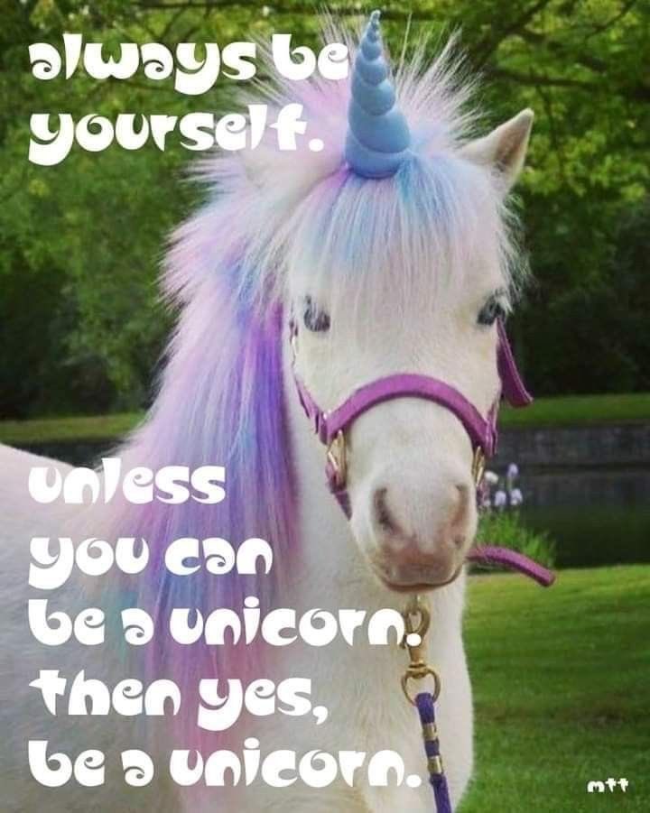 Always be yourself. Unless you can be a unicorn. Then yes, be a unicorn.🦄
AuraInPink.com🦩

#aurainpink #fabulous #lifestyle #alwaysbeyourself #unlessyoucanbeaunicorn #beaunicorn #unicorn #beanoriginal #beyourself #beunique #theresonlyone #irreplaceable #authentic