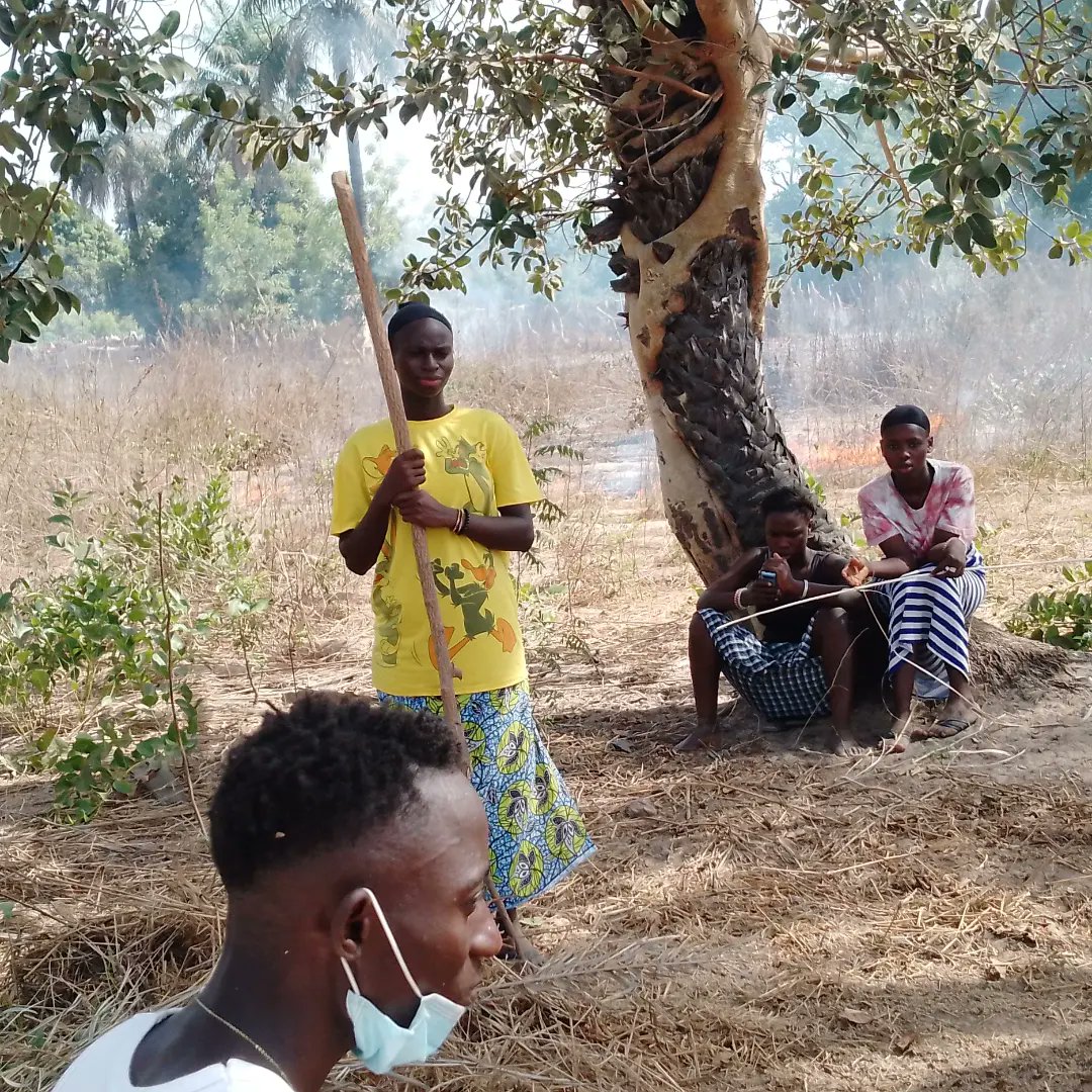 YVFAGambia's tweet photo. *NEXT LEVEL*
Getting into agribusiness for sustainability.
#avfc #utv #yvfagambia
#gardening #womenempowement
#communitysupport
#supportinggirlsfootball
#yvfa #villastreet #mbula
https://t.co/byG3iuZVPO https://t.co/zdLC85EtBX