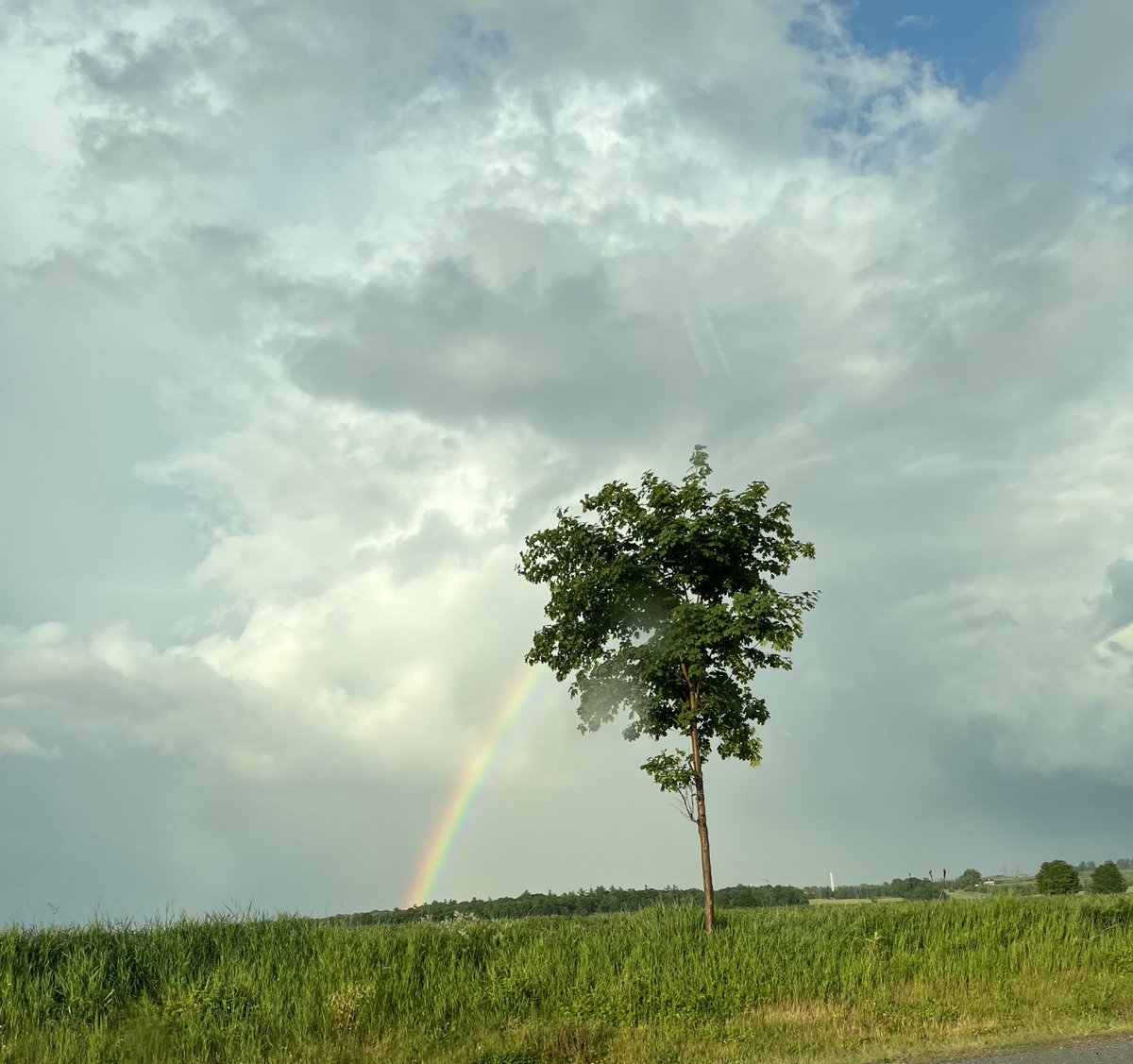 MsMichalofsky's tweet photo. When you post #onebeautifulthing too early! So it’s #twobeautifulthingsaday today https://t.co/pAbeK1FtuY