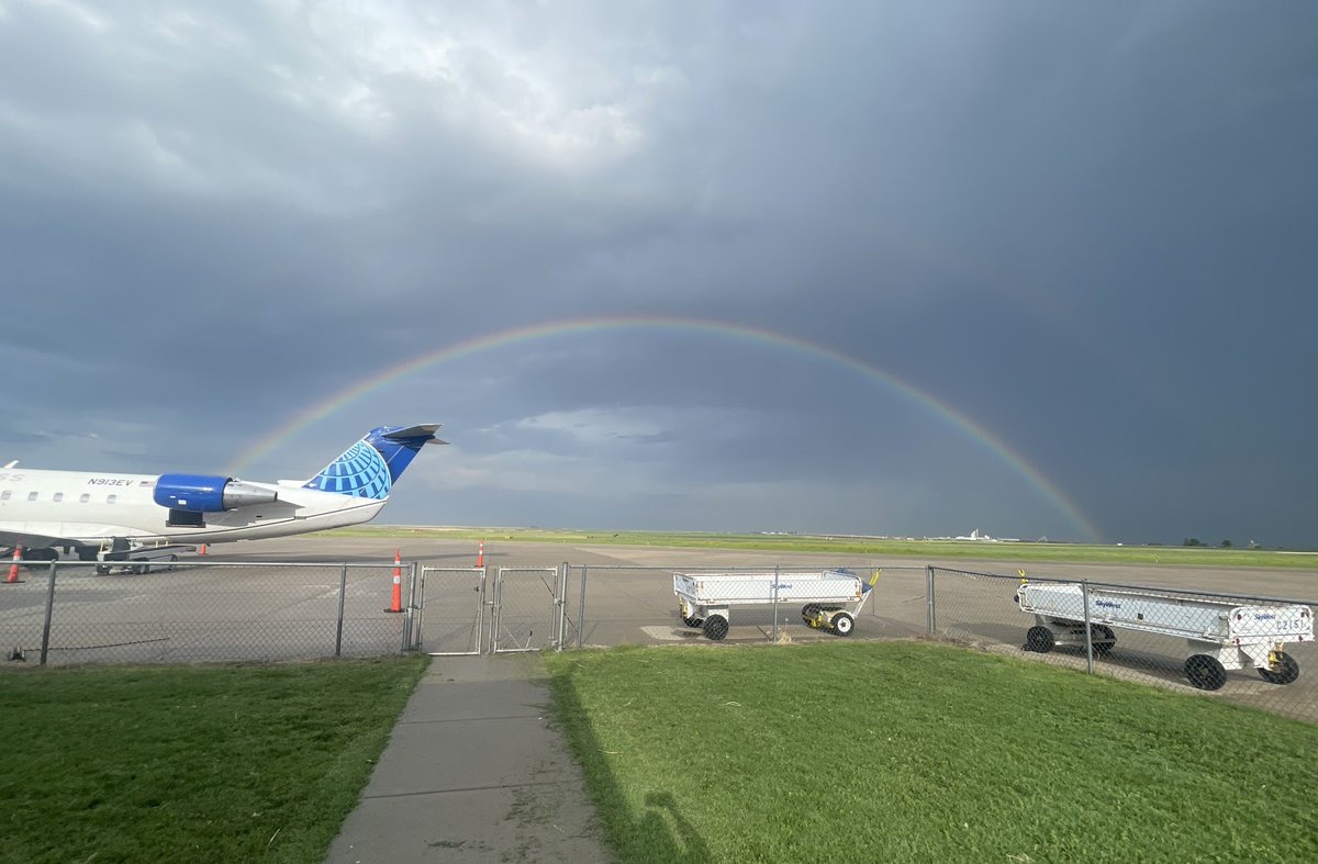 Sarah Powell tweet media