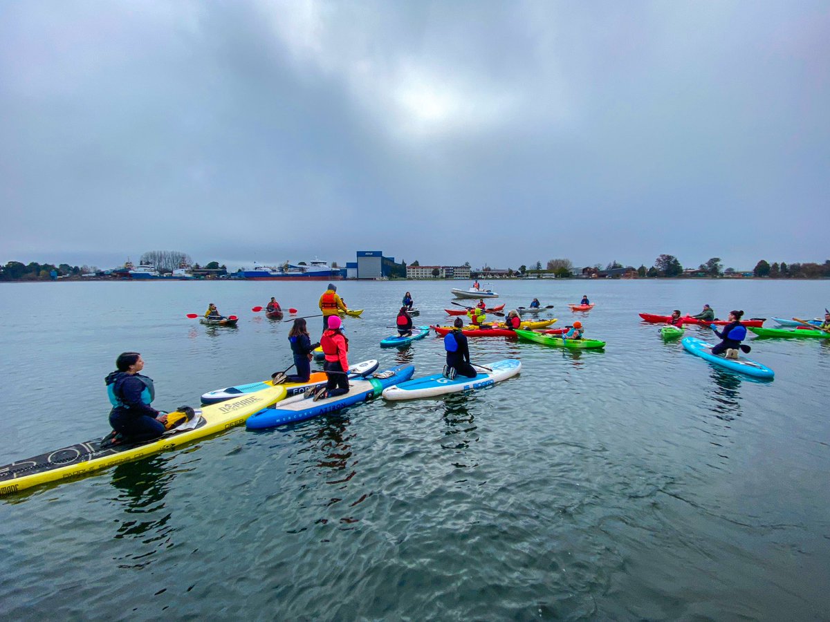 kayakonsciente's tweet photo. FOTOGRAFÍA DE NUESTRA ÚLTIMA LIMPIEZA EN #VALDIVIA https://t.co/Et4tyeRcI3