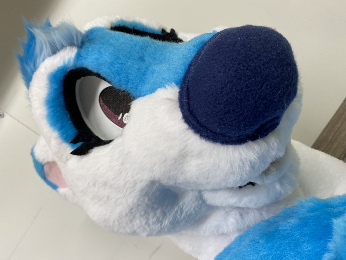 DergStudios's tweet photo. Mini partial Otter completed for @MerPaint! Thank you so much!!

Look at that pretty blue🫶🏻💙 https://t.co/M3j5SgFhp7