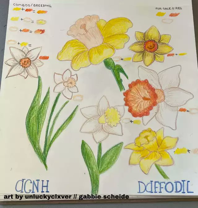 discord_gg_acnh's tweet photo. Here are the 2nd to 5th place winners from our recent server event where we asked users to design a flower they would like to see in game!! 

• 2nd: jenny
• 3rd: Leafix
• 4th: unluckyclxver
• 5th: Eve_elliot

Congrats to all the winners and thank you for participating!! https://t.co/TsCKCbMnnV