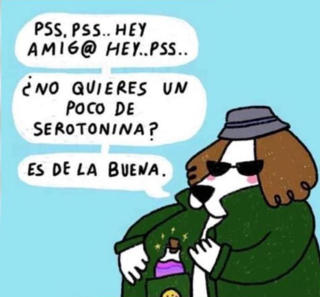 drlangosta's tweet photo. Traficando ando … jajajajaja

#CosasDePsiquiatras #ComandoPsycho https://t.co/Kr8ZGWNyaW