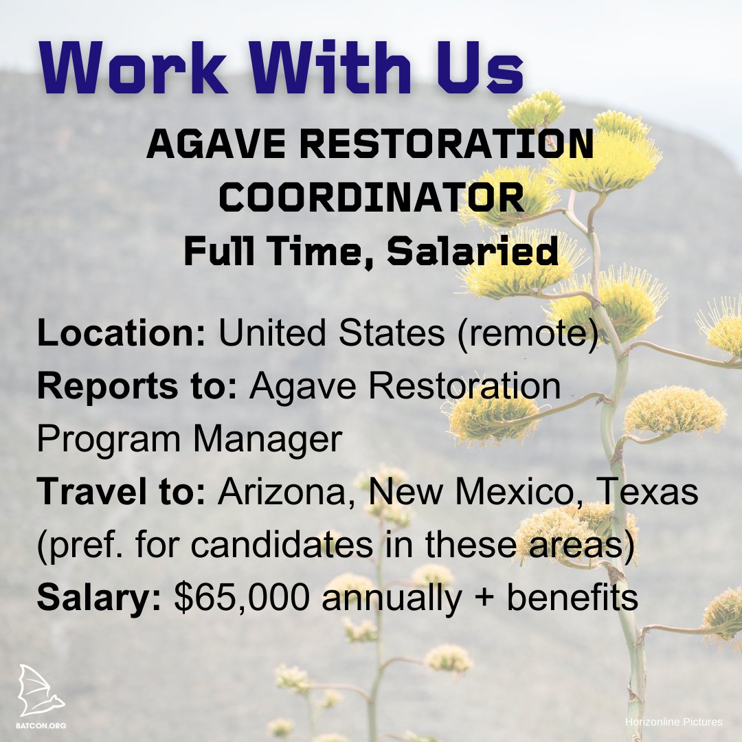Save bats with plants! 🌱 We're hiring an Agave Restoration Coordinator (full-time) in the U.S. (remote) 
Salary: $65,000 annually + benefits.  
Apply at workforcenow.adp.com/mascsr/default…… #ConservationCareers #ConservationJobs #NonprofitJobs #Conservation #Bats #SouthwestJobs