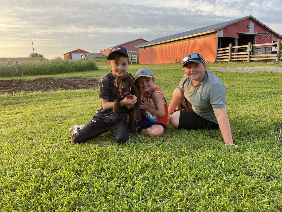 searsy84's tweet photo. Boys got a puppy! https://t.co/pJDvPe1B0y