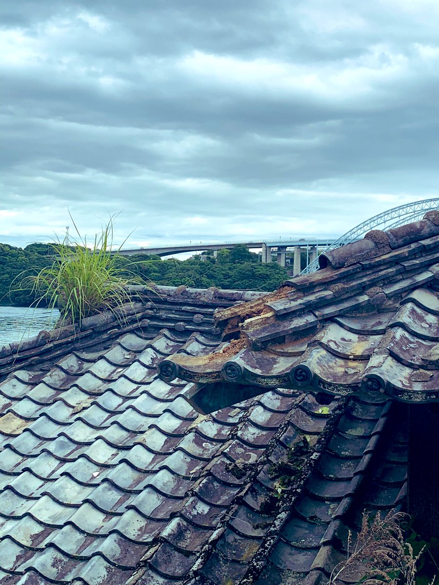 好みの屋根をじっくりフムフムと
眺められる港町の坂道に感謝

#はみだせ緑
