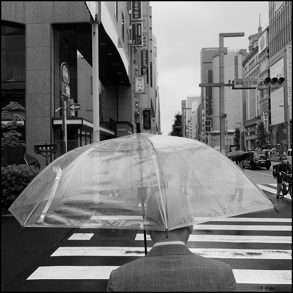 傘
.
.
.
写真: @AvilaSimpson / 2023 #tokyo #japan #street #men #crossline #instagood #photo #umbrella #man #streetphotography  #japanese #japan🇯🇵 #alvaroavilasimpson #maquigrafia #shootiniphone #shootoniphone #fullframephotography #everydayjapan #everydaytokyo #blackandwhite