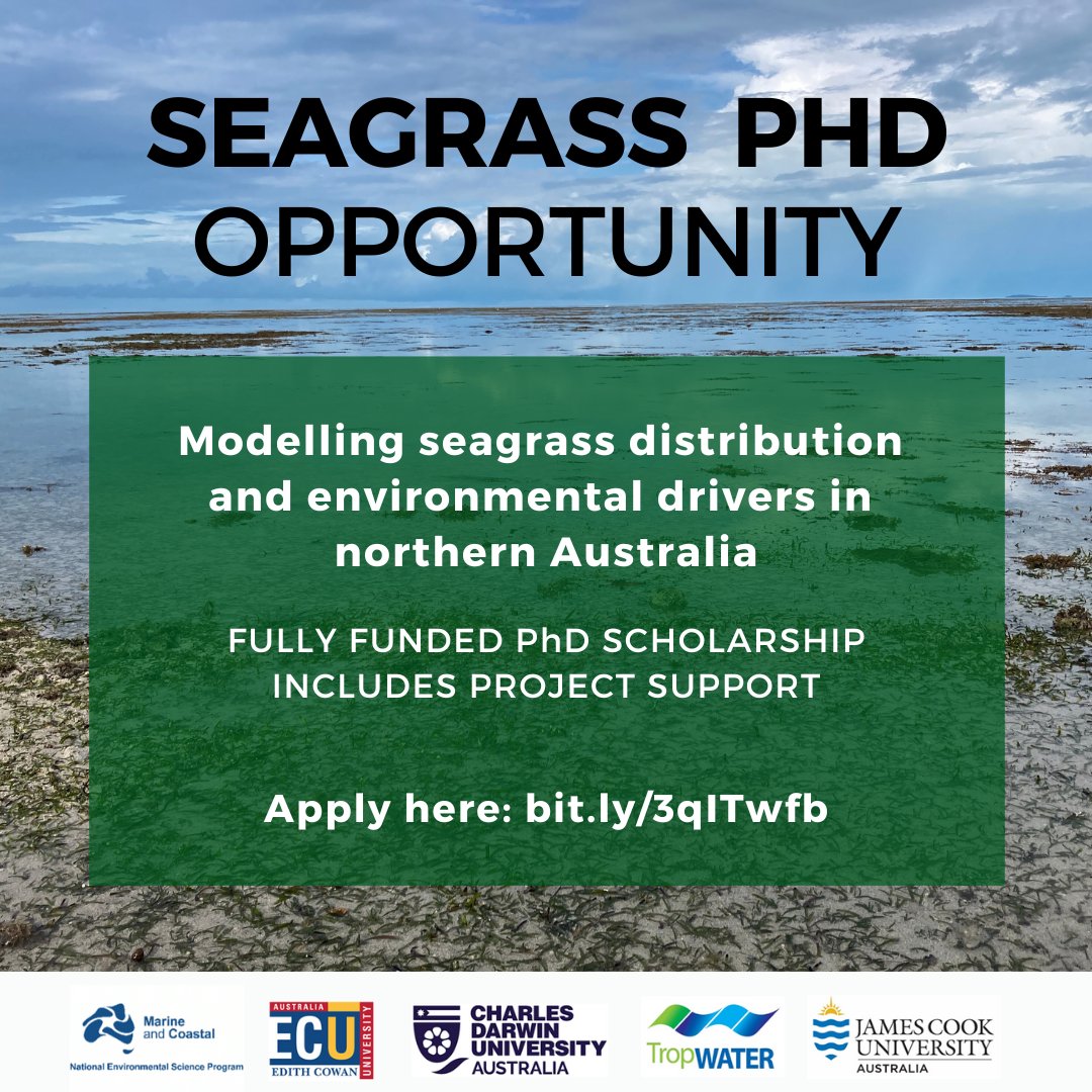 We've got an exciting #seagrass #PhD opportunity based in #Cairns 👉This PhD is focused on seagrass habitats in northern Australia. Experience in #modelling #drones and remote sensing is desired. Apply here 🔗bit.ly/3qITwfb @jcu @NESPmarinehub @CDUni @EdithCowanUni