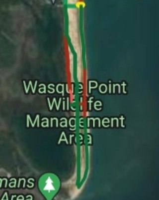 TheTrusteesMV's tweet image. #beachupdatesMV swimming beach at Cape Poge is open. Please view whale outside of fenced areas. See maps for current beach travel. Due to erosion, OSV restrictions on beach trail by Jetties.  #CapePogeWildlifeRefuge #LelandBeach.