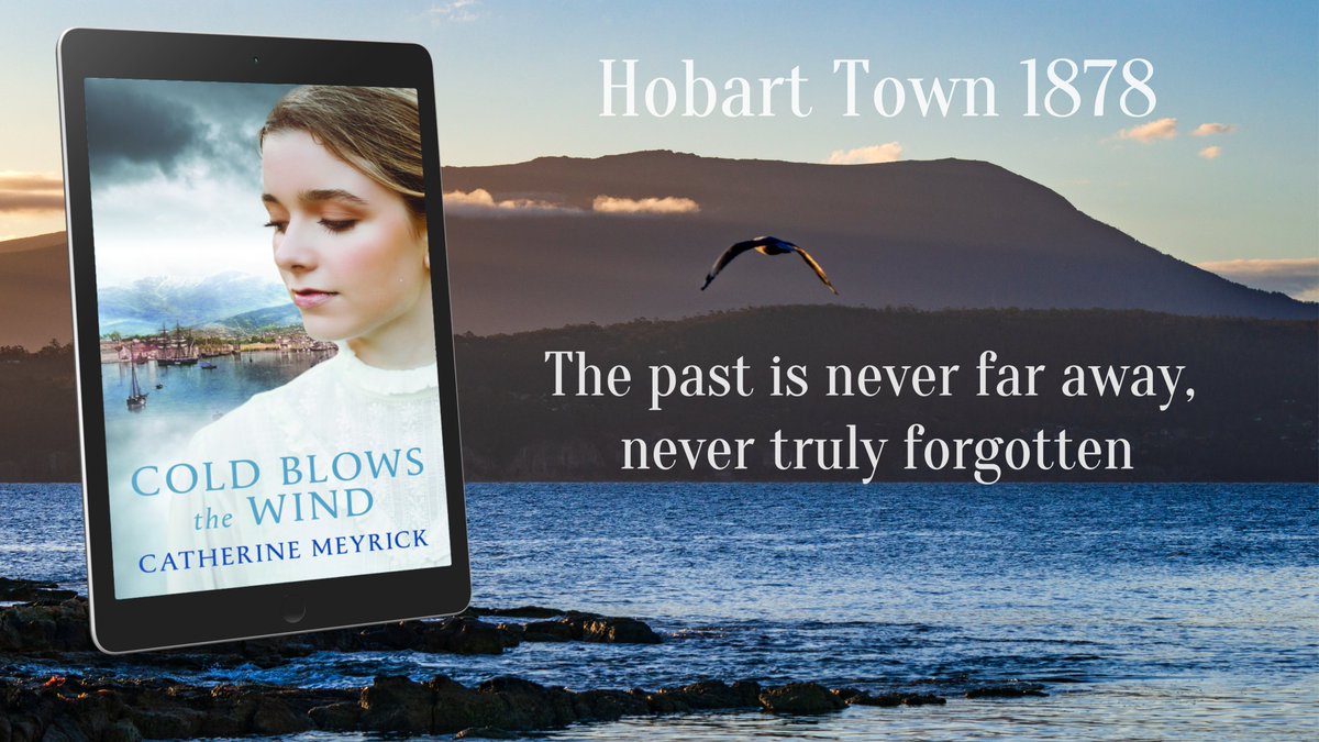 Based on fact, this is a story of the daily heroism of ordinary lives.

‘A fantastic read and I was so sorry to have reached the end that I read it again very soon after.’

books2read.com/ColdBlowstheWi…
#HistoricalFiction #WomensFiction #Australia