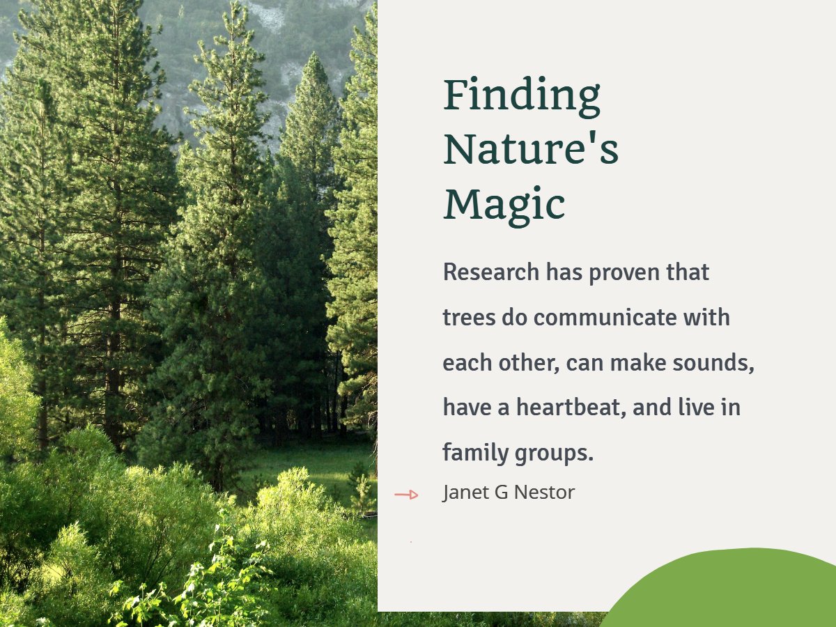 Research has proven that trees do communicate with each other, can make sounds, have a heartbeat, and live in family groups.

#FindingNaturesMagic
#SharingPlanetBeauty
#TreeBeings
#MotherNature
#EveryDayIsEarthDay