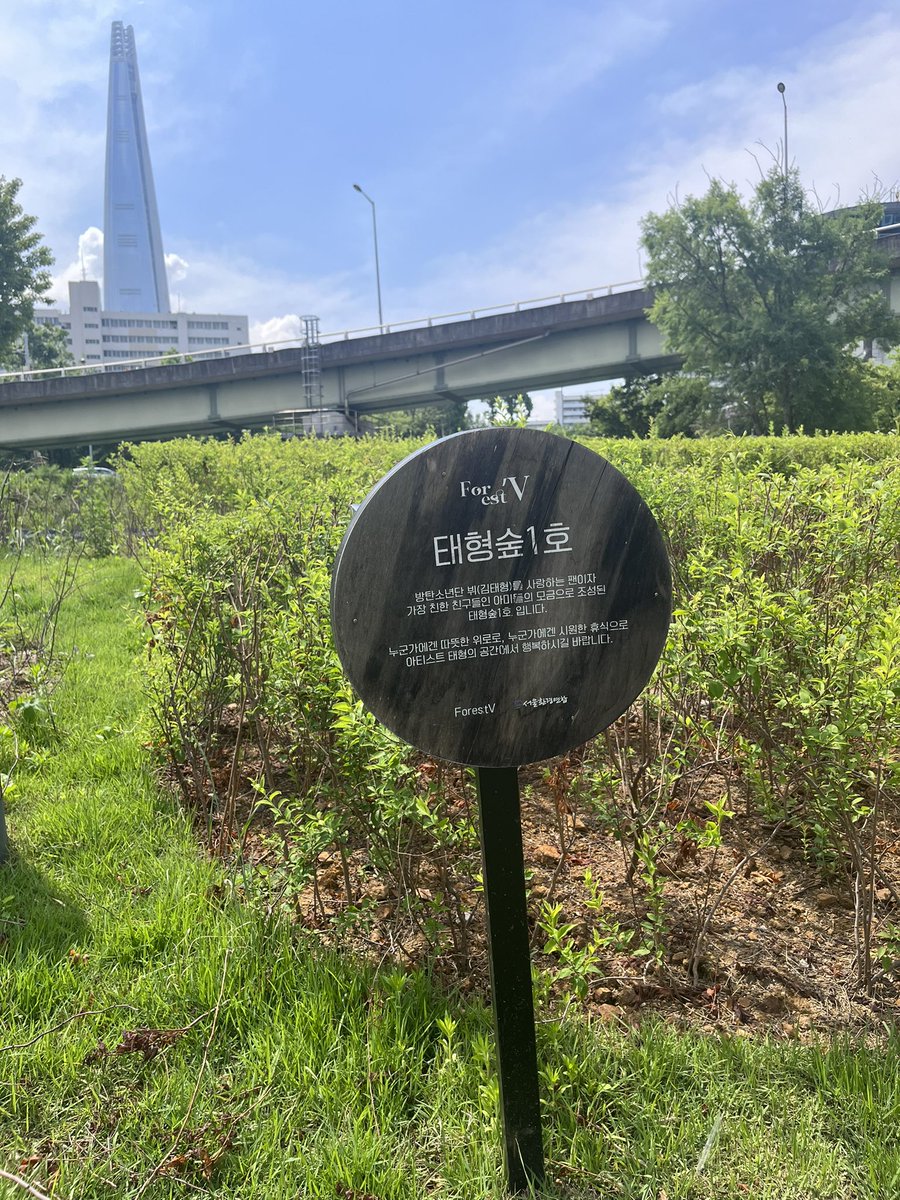 6gxpm's tweet photo. 迷いに迷ってたどり着く事が出来たVの森🌳
蚕室漢江公園にあります
サイクリングロードを見ながら自転車に乗ったナムさん現れないかなーって妄想🚲
#2023BTSFESTA #BTS10thAnniversar
#ForestV
#BTS #渡韓
 https://t.co/0s6ZfV7bbZ