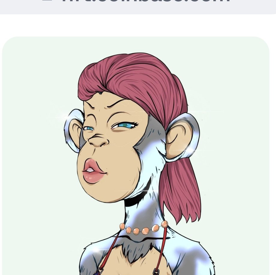 MISORA VIERS tweet media