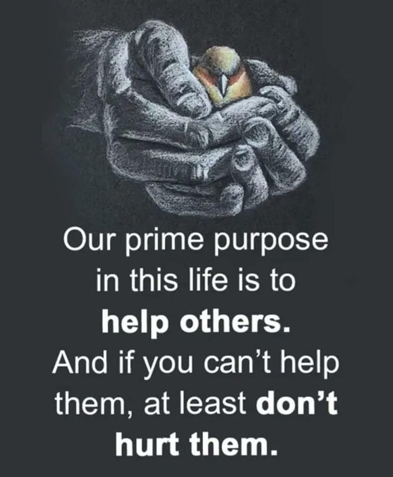 Lifevcore's tweet image. 