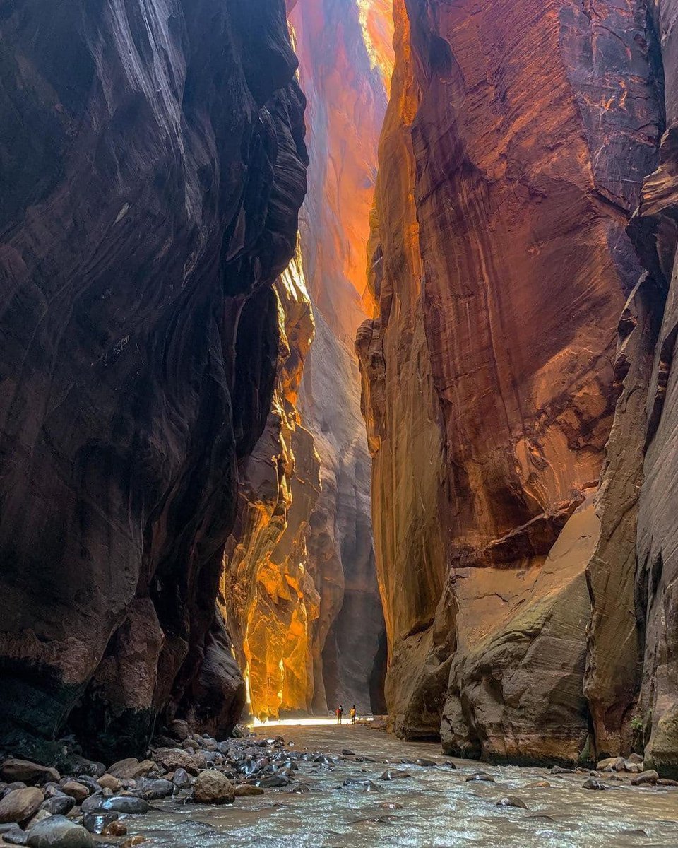 Zion National Park by Daniel Kaufman