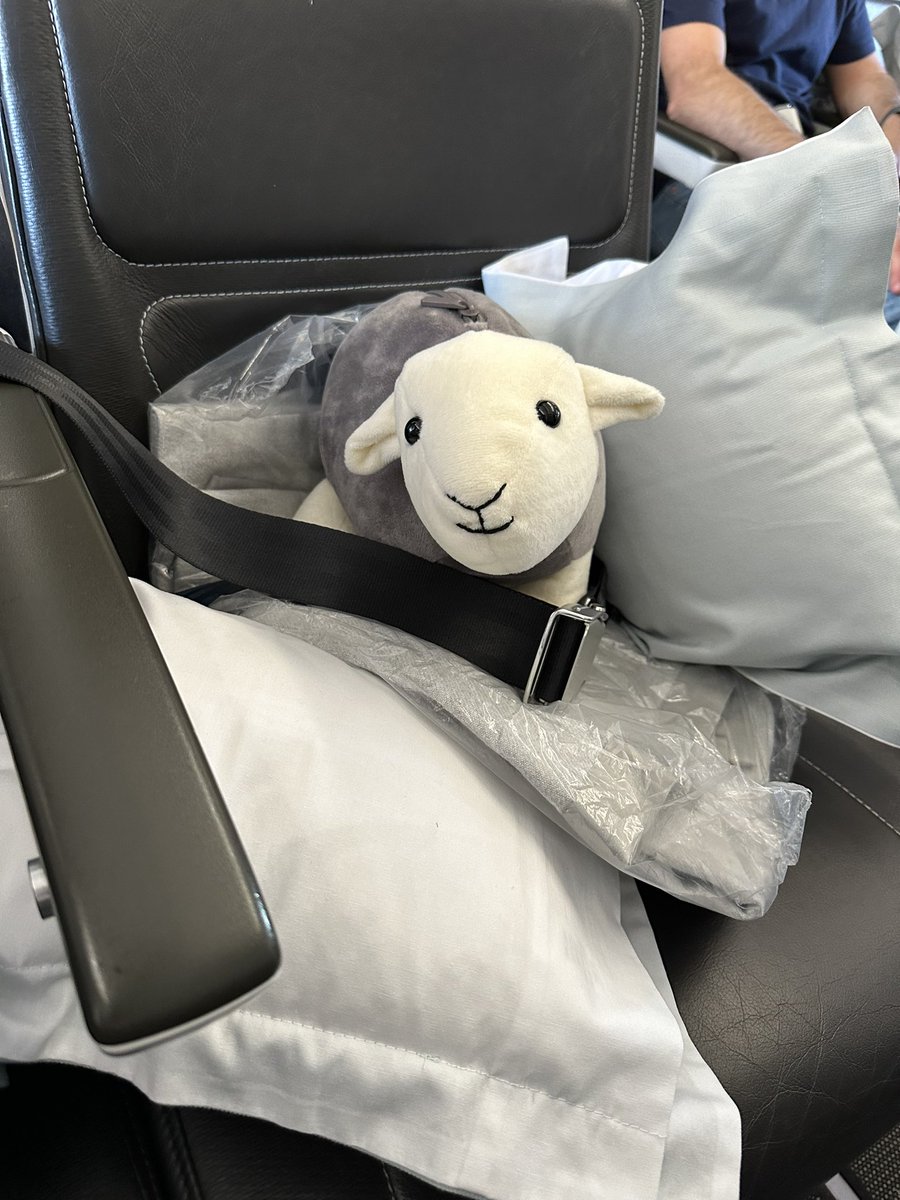 Herdy travel pillow is off to Cyprus and is following instructions to tighten his seatbelt. Bon voyage!
