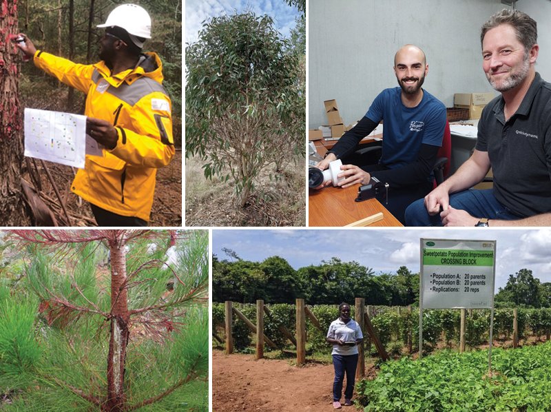 Our latest long form tweet (newsletter) is now out and features the following:

• Investigating solutions to the future forest estate
• Mammal browsing risks and scale to inform technological solutions
• Success in minimising bark stripping research

express.adobe.com/page/1eYPMxNcm…