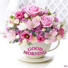 Good.                     Morning