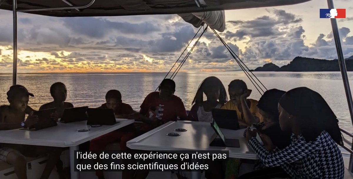 BIMer.online tweet media