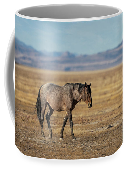 Enjoy #Coffee with the wild ones! Two sizes available.

Get It: fon-denton.pixels.com/featured/apple…

#WildHorses #WildHorse #Horses #CoffeeMug #BuyIntoArt #AYearForArt #TheArtDistrict #HorseLovers #Equine #GiftIdeas #FathersdayGifts #WildHorsePhotographs #CoffeeLovers #Mugs #PhotographyIsArt
