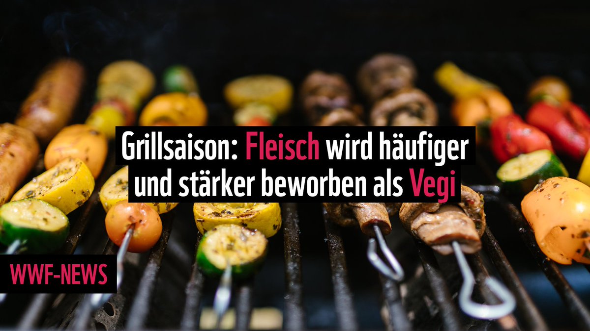 🥩 vs. 🌶️ WWF-Grill-Check: Der Schweizer Detailhandel bewirbt Fleisch im Verhältnis zu vegetarischen Alternativen viel häufiger und rabattiert dieses dabei auch stärker. 🤔 Massenweise Werbung für umweltschädliche Produkte ist nicht mehr zeitgemäss. ow.ly/L6MM50ON6Xn