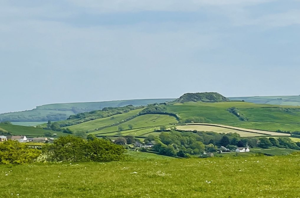 The raised lump of Shipton Hillfort with Eggardon Hillfort on the horizon behind. 

Walks to both (and many more) on my website!😝

#hillfortswednesday #dorset #adventure