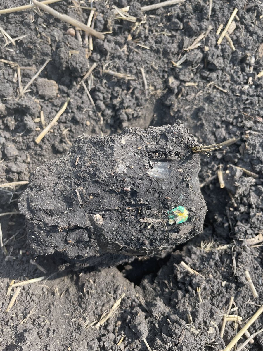 This is my favorite time of year, the corn is getting close to knee high and still easy to scout. Not everything is under our control.. GxExM <— We can help the M part of the discussion