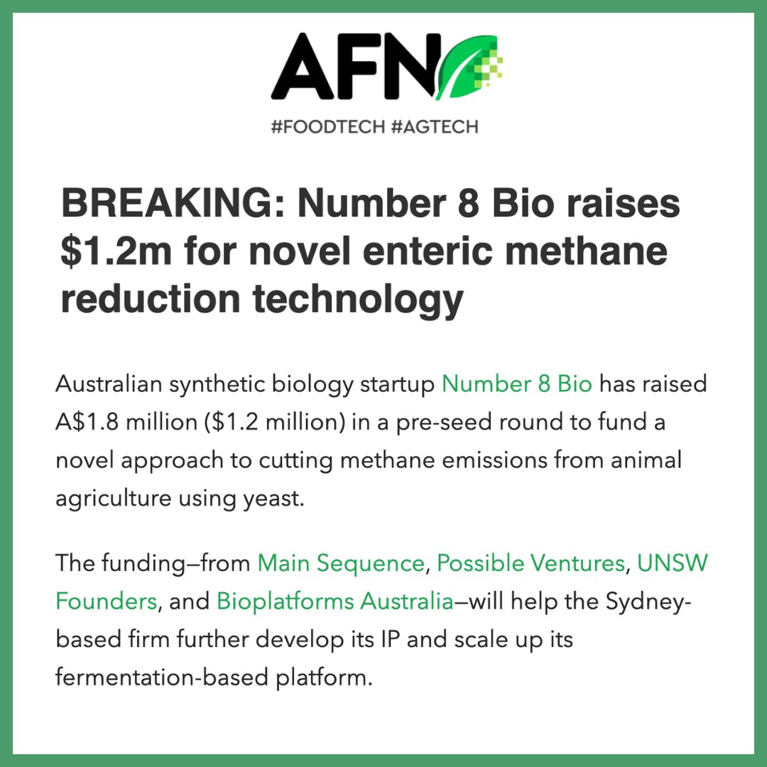 Number8bio (@bionumber8) on Twitter photo Excited to announce our $1.8M pre-seed funding from <a href="/MSeqVC/">Main Sequence</a>, <a href="/PossibleVC/">Possible Ventures</a>, <a href="/UNSWFounders/">UNSWFounders</a> & <a href="/BioplatformsAus/">Bioplatforms Australia</a>! 🥳
This will help us revolutionise feed conversion ratios for farmers and significantly lower methane emissions from their herds.
agfundernews.com/breaking-numbe… Excited to announce our $1.8M pre-seed funding from <a href="/MSeqVC/">Main Sequence</a>, <a href="/PossibleVC/">Possible Ventures</a>, <a href="/UNSWFounders/">UNSWFounders</a> & <a href="/BioplatformsAus/">Bioplatforms Australia</a>! 🥳
This will help us revolutionise feed conversion ratios for farmers and significantly lower methane emissions from their herds.
agfundernews.com/breaking-numbe…