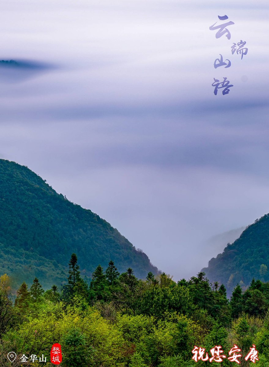 (🌸, 🌿) (@xy66608) on Twitter photo 