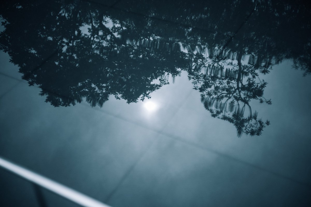 Daisuke Abe tweet media