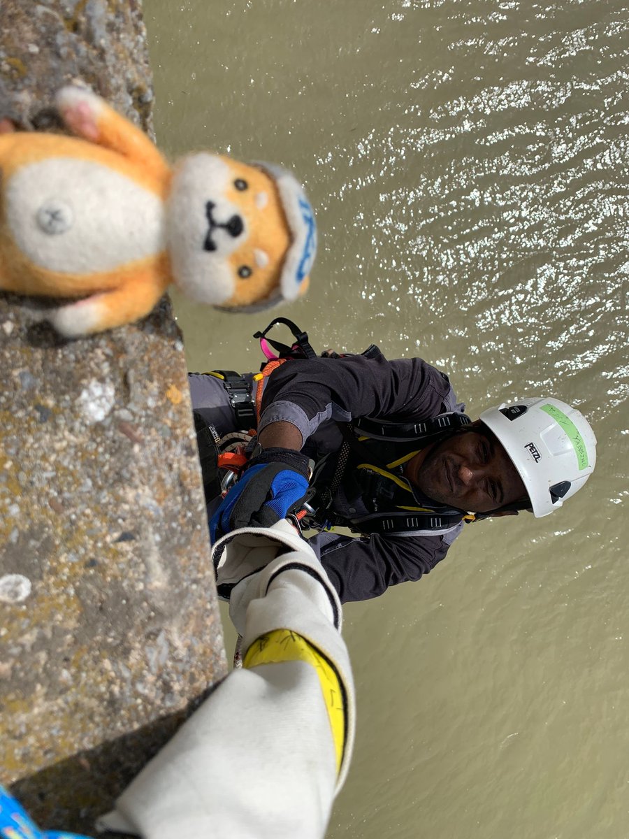 tokusyu_kousyo's tweet image. モロッコ通信
ちびモフ丸の登場の仕方にわろた

#NinjaTech
#モロッコの仲間達と