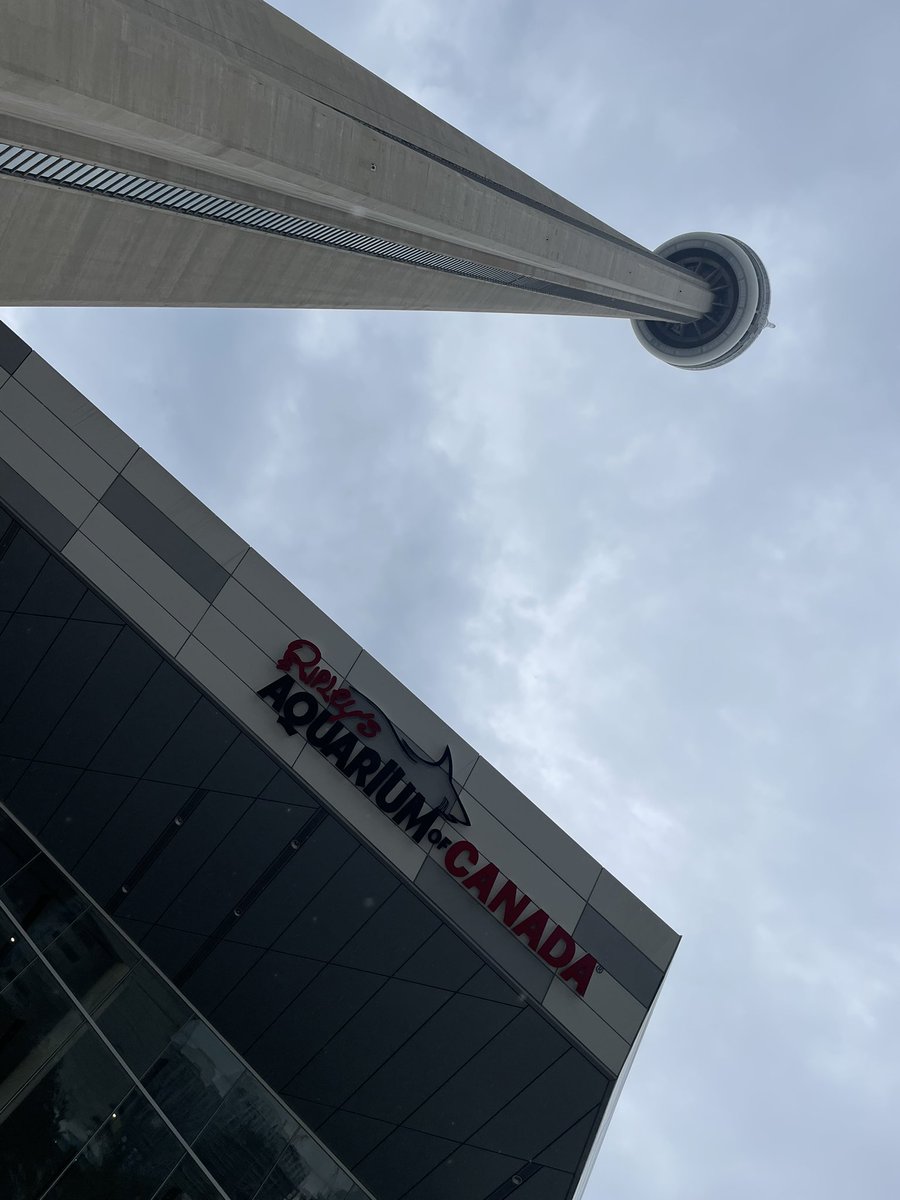 moorehmm's tweet photo. Such an awesome grade 8 year end trip to Toronto! We had the best day with a fantastic group of students! #ALXCoyotes #ourhouse https://t.co/qXTu2byjwU
