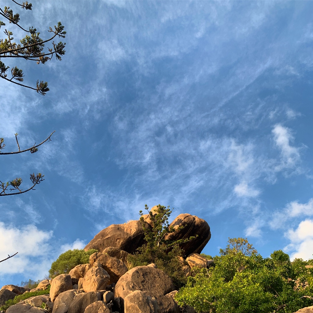 Large granite boulders, hoop pines, sandy beaches, fringing coral reefs, it can only be one place right? Beautiful ✨ Yunbenun ✨ (Magnetic Island).
#upforunexpected #magneticisland #townsvilleshines #thisisqueensland #seeaustralia