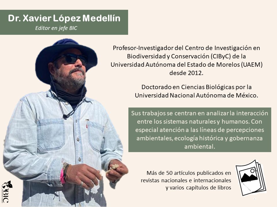 BIC_UAEM's tweet photo. ¿Ya conoces al equipo de #BIC?
Hoy te presentamos al Dr. Xavier López Medellín, uno de nuestros #editores en jefe.
https://t.co/2nWMaHYKSI https://t.co/tm8acS3Lyy