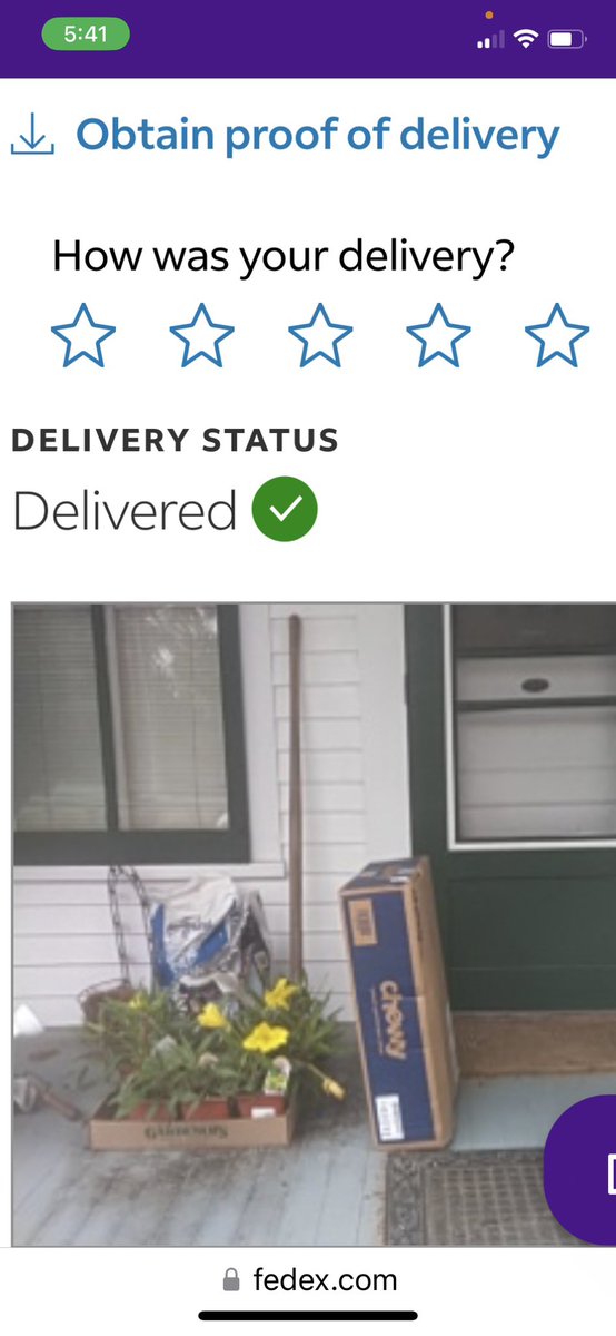 StarCatBooks's tweet image. I am dying of Moyamoya disease. I wanted 1 thing: evening primroses flowering this last summer I will prob live. @FedEx destroyed 10 mature plants on my porch today. (1) I’m dying (2) I’m #disabled (3) they were @Chewy boxes (poor Chewy) so now *they’re* involved. Shame on #fedex
