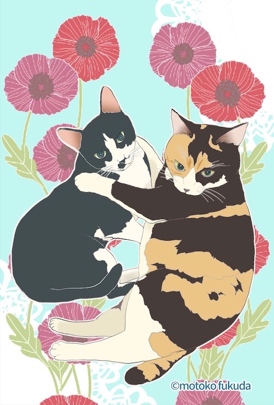 no humans animal focus cat flower floral background looking at viewer animal  illustration images