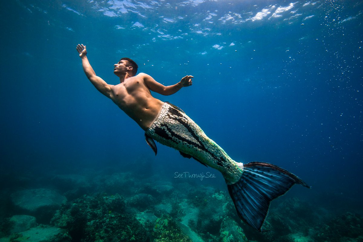 William Roehl tweet media