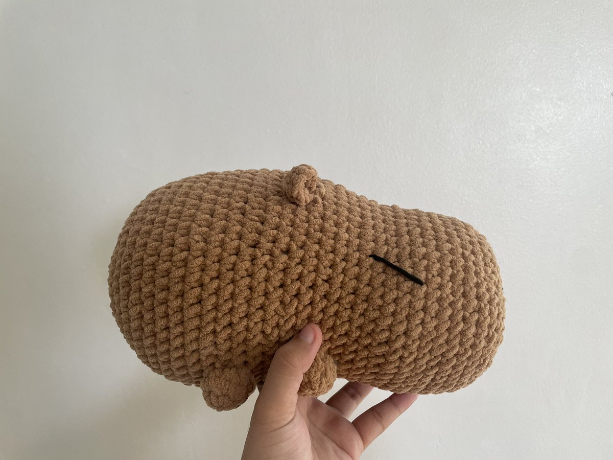 takoyakart's tweet photo. capybara child!! finished making him last night, absolutely loved how huggable he is,, pwede na pamalit sa tao 😁😁

if u want one for urself, preorder here!! it would really help me and my savings :] https://t.co/TSaZn3Eaz0 https://t.co/zjGRsmrJRw
