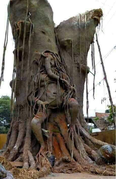 🌹🌷☘️वक्रतुंड महाकाय सूर्यकोटि समप्रभः!🌹🌷☘️

🌹🌷☘️ निर्विघ्नं कुरु मे देव सर्वकार्येषु सर्वदा !!🌹🌷☘️

🌹🙏 #ॐ_गं_गणपतये_नमः 🙏🌹

#शुभ_____प्रभात 🙏🏼